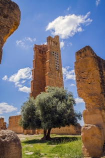 Mansourha - Tlemcen 