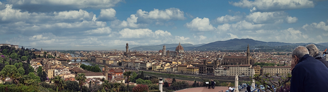 Florence General view.