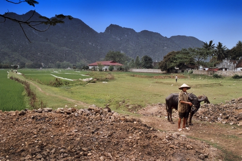 La campagne dans le nord El campo en el norte, pastor con su búfalo.
