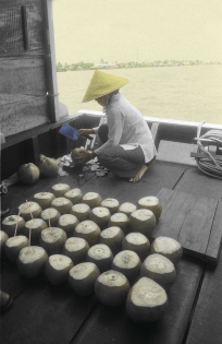 Fleuve Amour Preparation of cold drinks (coconut milk) on the Love River.