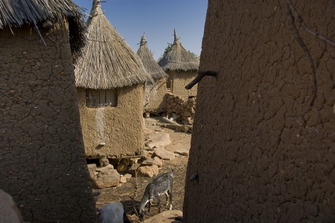 Djiguibombo Village granaries, made with soil, wood branches and dried millet stems for the roof.