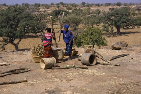 Djiguibombo Women pounding millet while singing to set the pace.