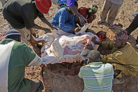 Djiguibombo At parties, men are responsible for slaughtering and butchering a zebu (or more depending on the size of the party).