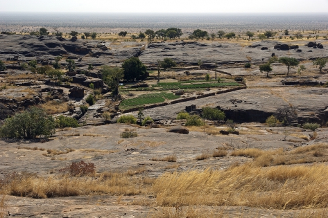 Pays Dogon Les Dogons sont reconnus pour être de très bon cultivateurs, utilisant une technique d'apport de terre sur du rocher basaltique.